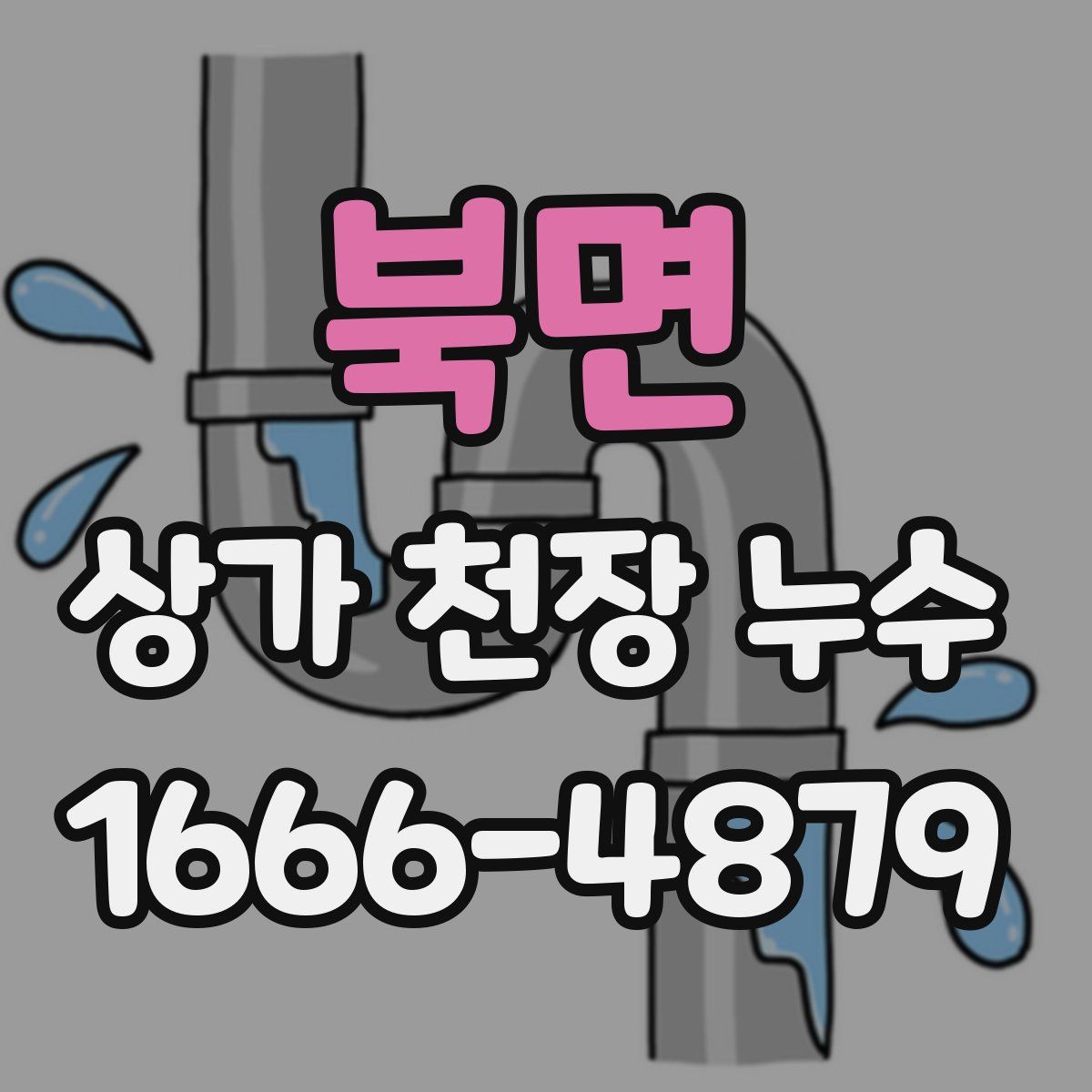 북면 상가 천장 누수