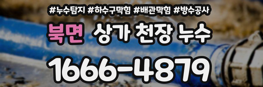 북면 상가 천장 누수