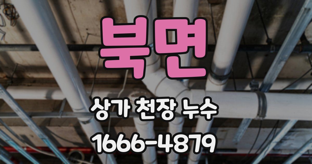 북면 상가 천장 누수
