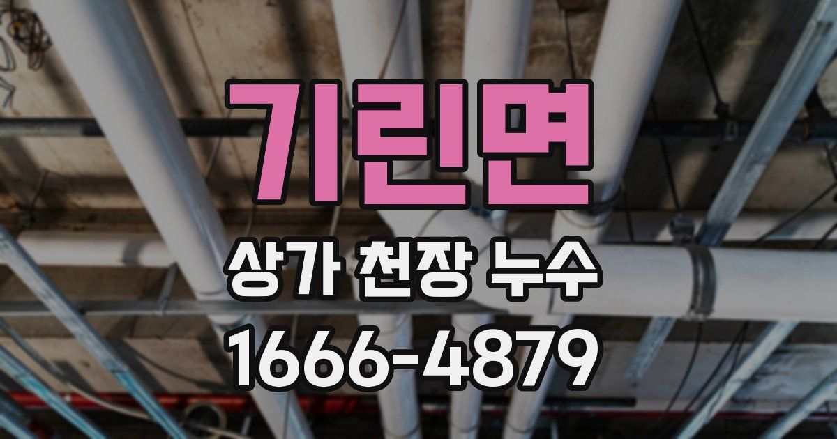 기린면 상가 천장 누수