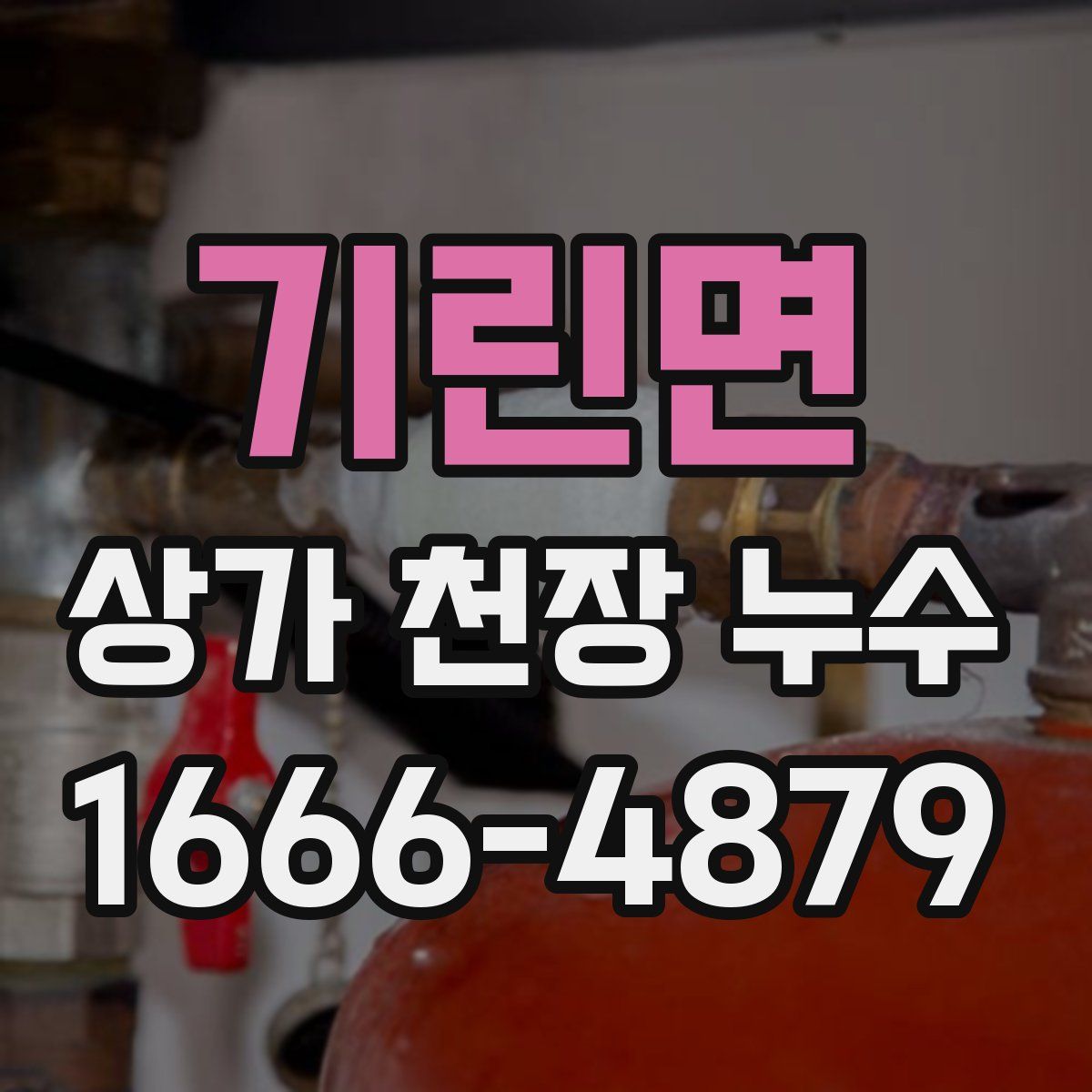 기린면 상가 천장 누수
