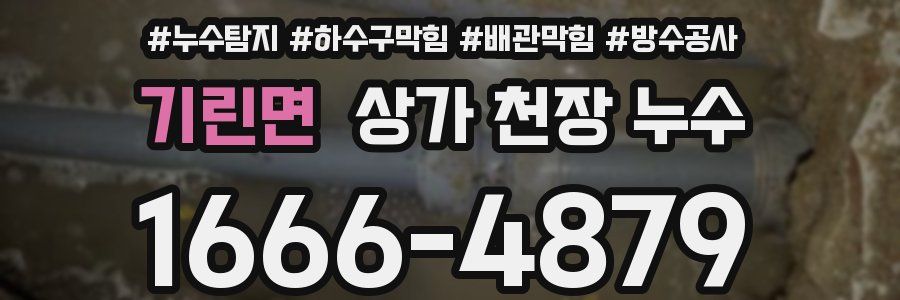 기린면 상가 천장 누수