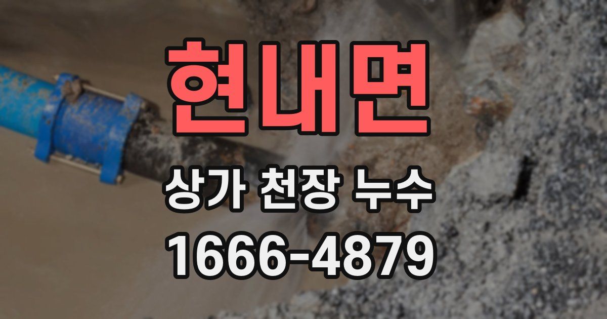 현내면 상가 천장 누수