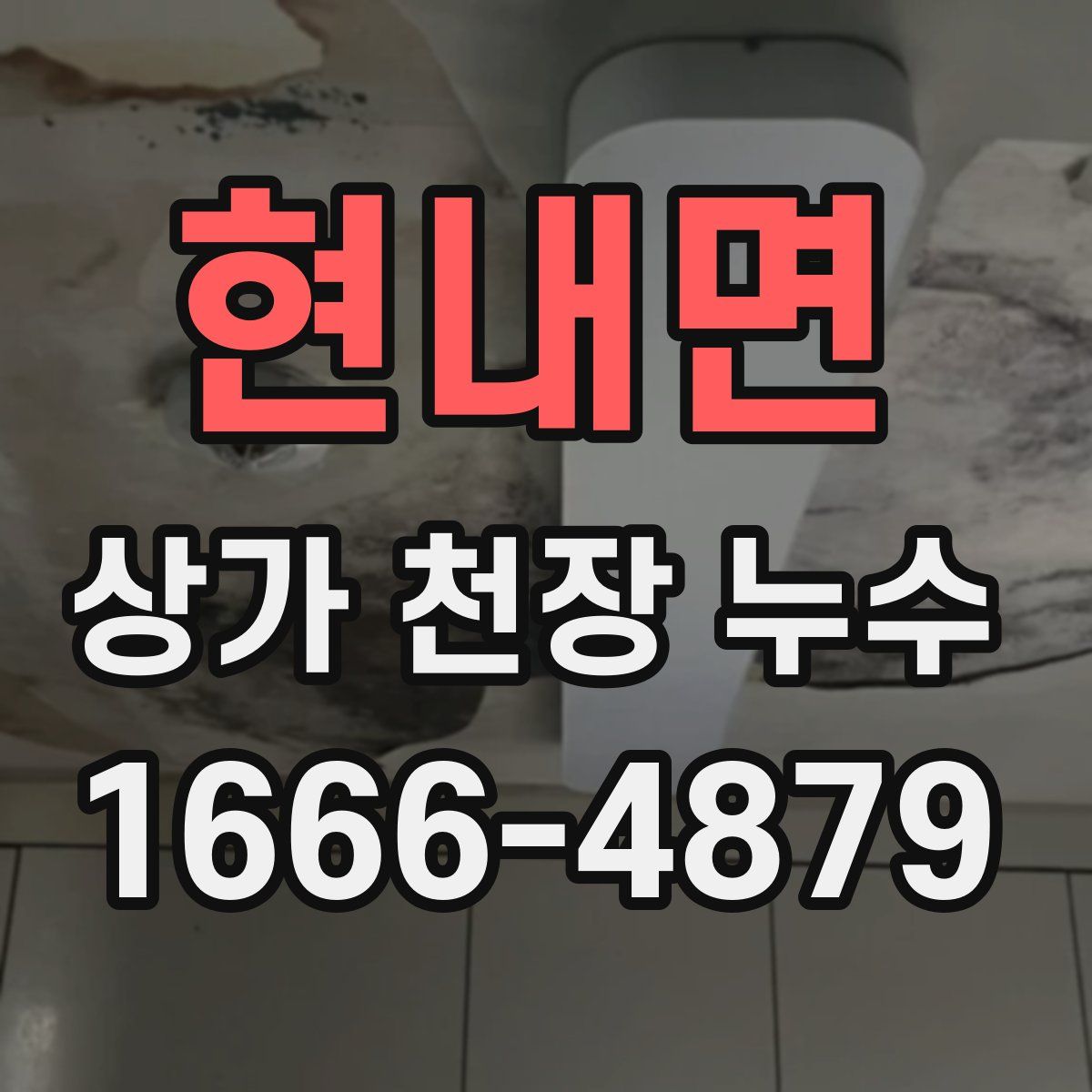 현내면 상가 천장 누수