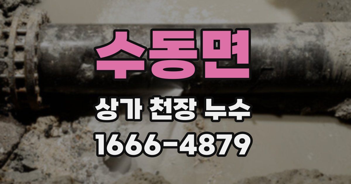 수동면 상가 천장 누수