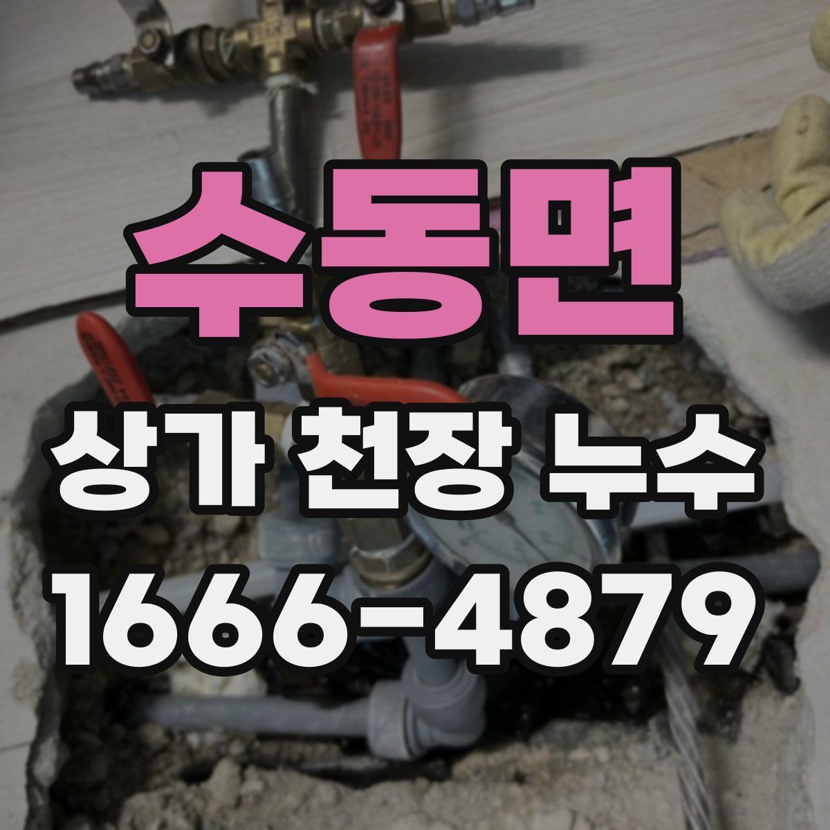 수동면 상가 천장 누수