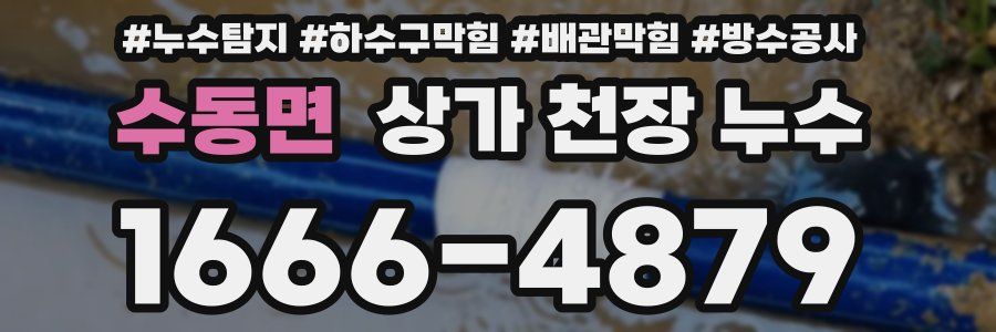 수동면 상가 천장 누수