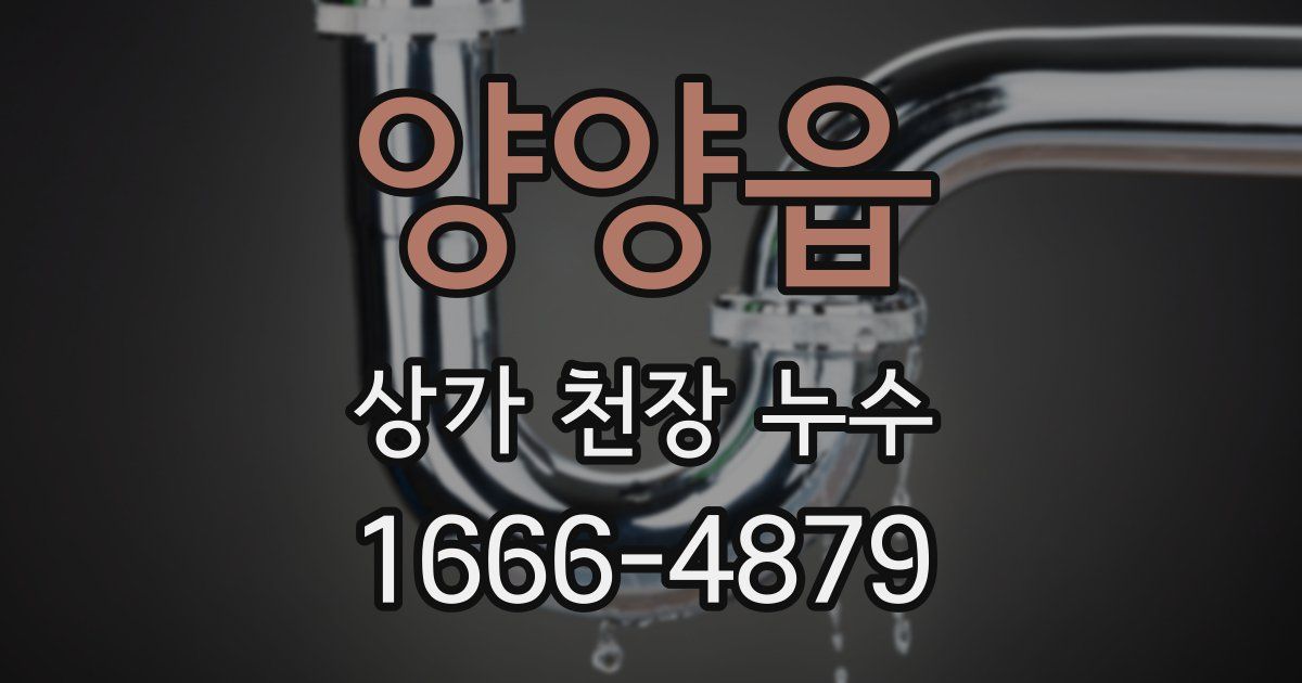 양양읍 상가 천장 누수
