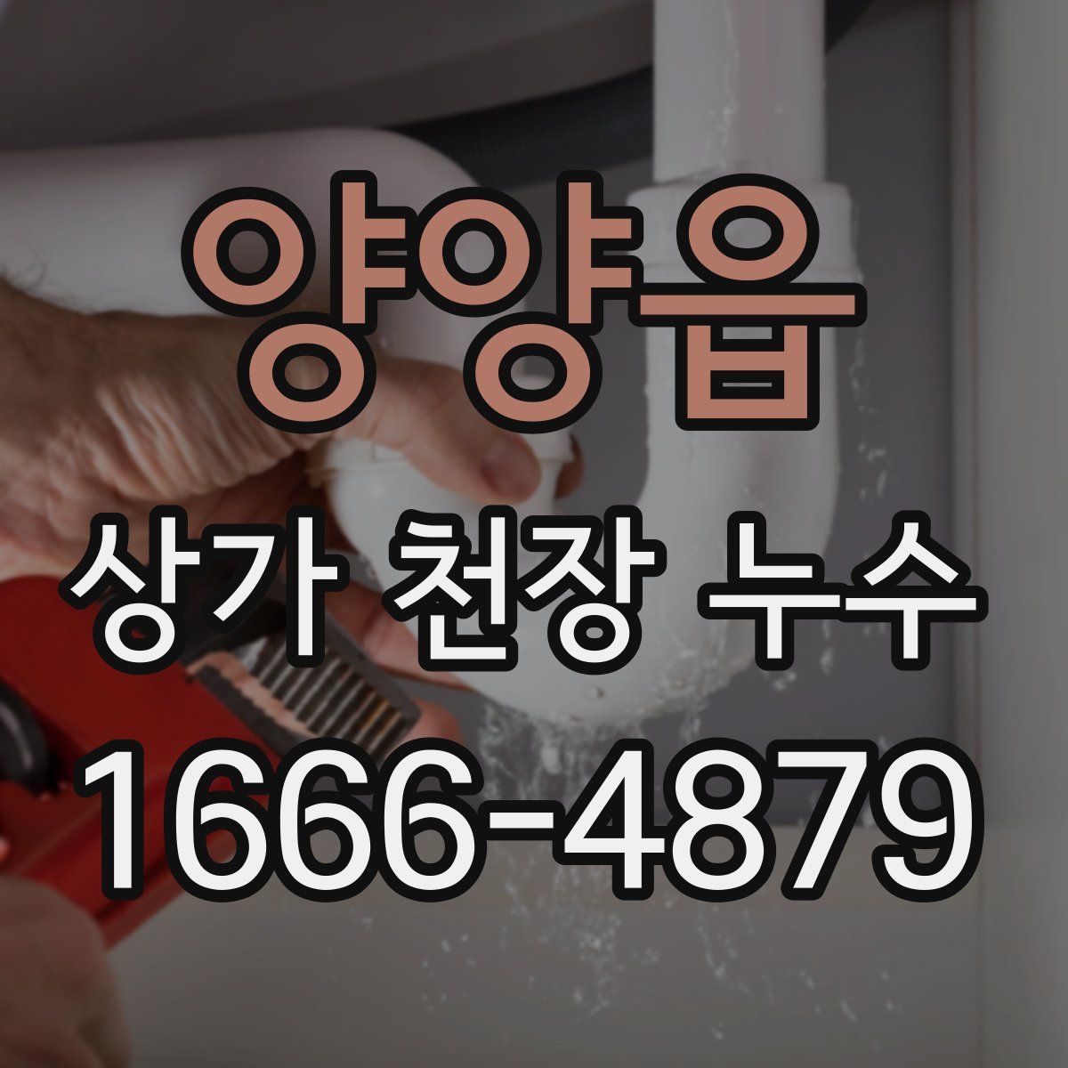 양양읍 상가 천장 누수