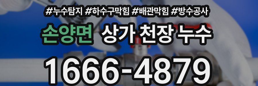 손양면 상가 천장 누수