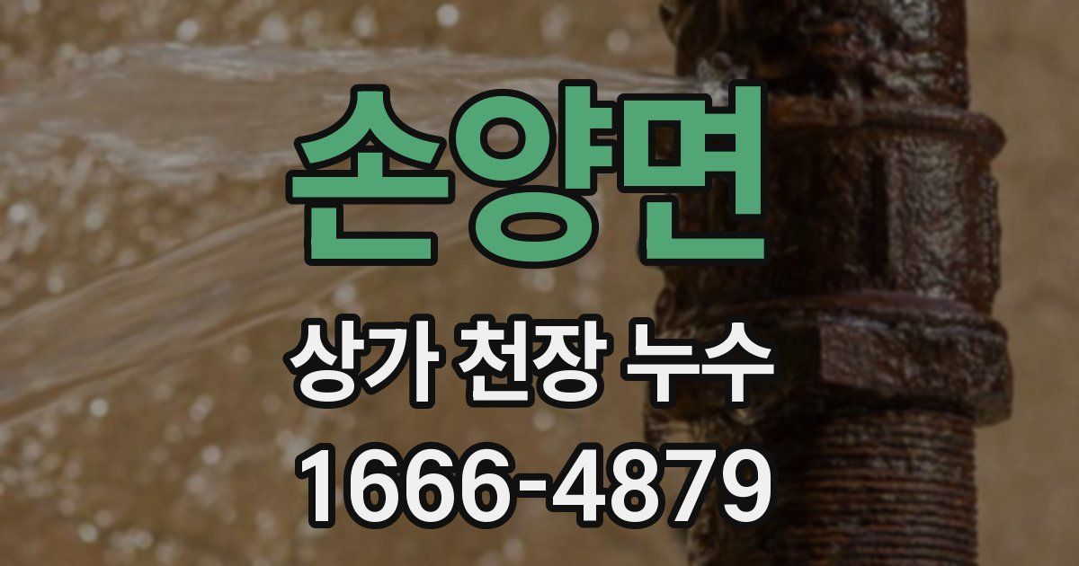 손양면 상가 천장 누수