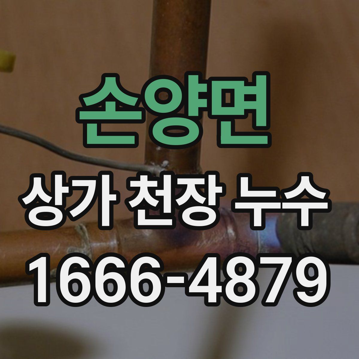 손양면 상가 천장 누수