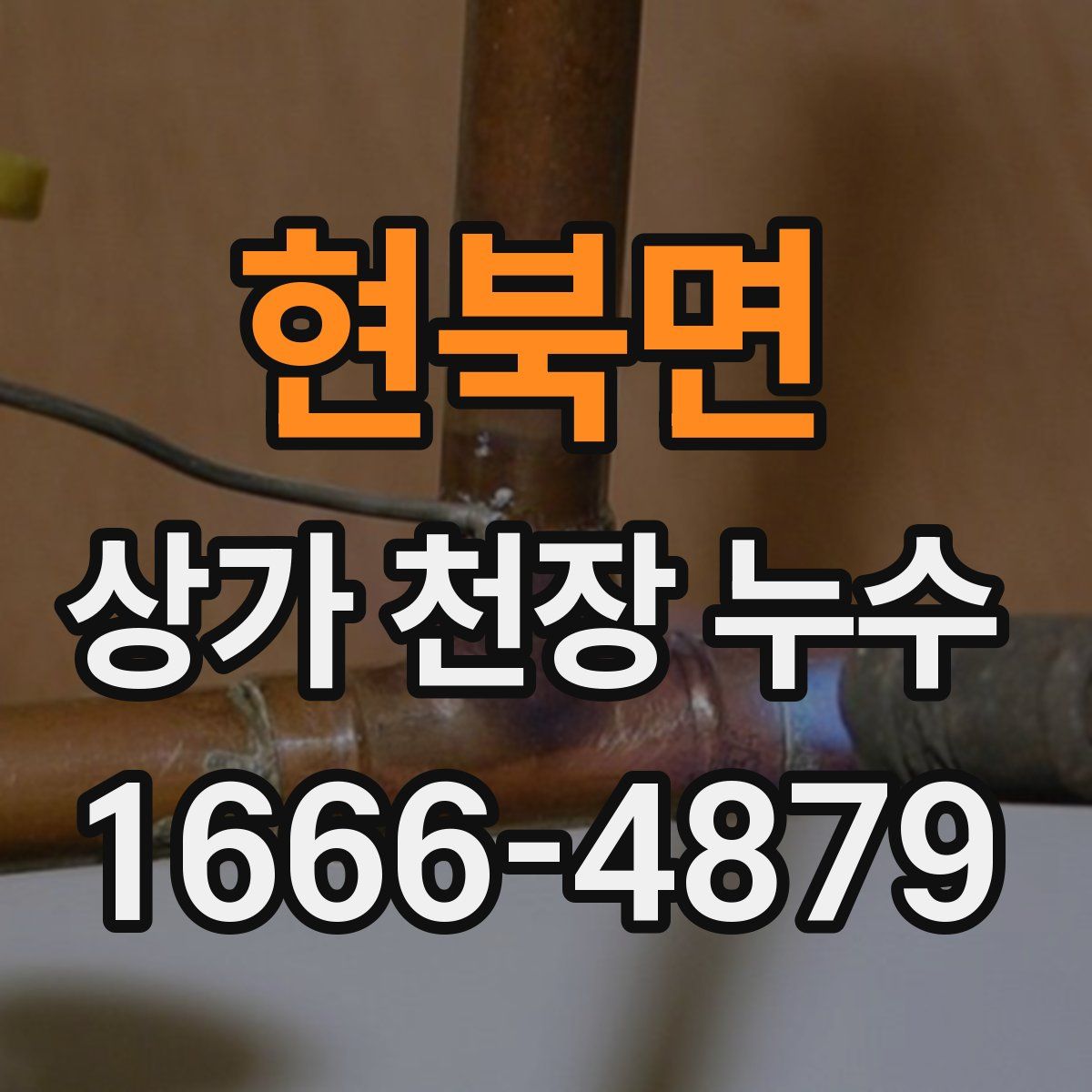현북면 상가 천장 누수