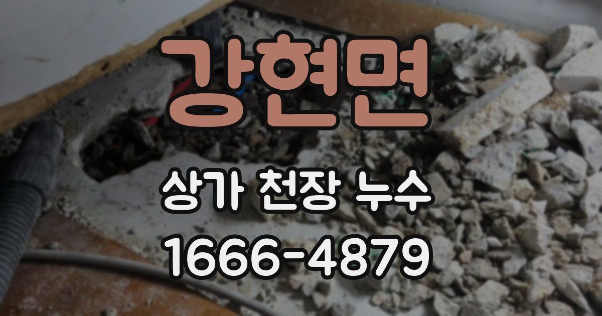 강현면 상가 천장 누수