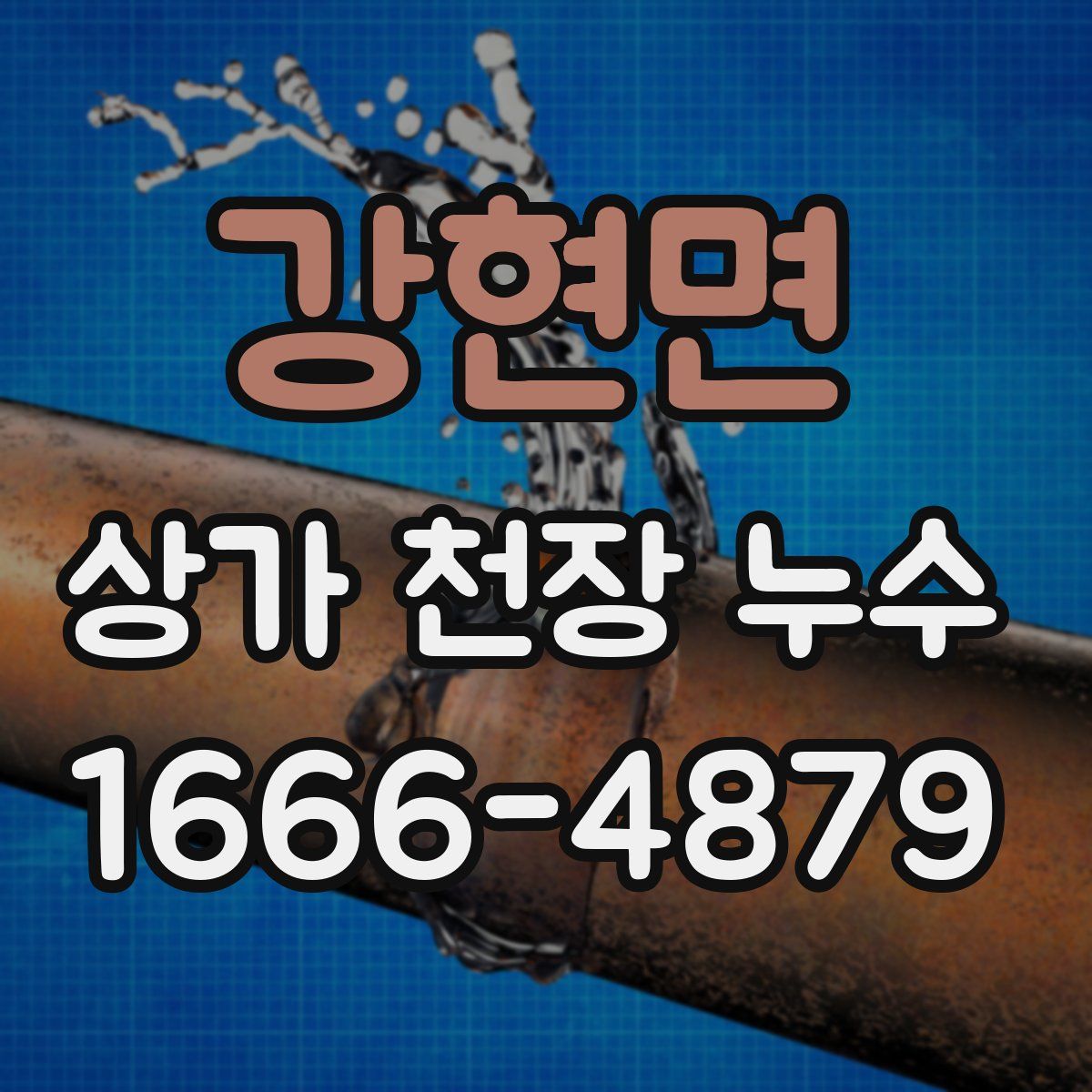 강현면 상가 천장 누수