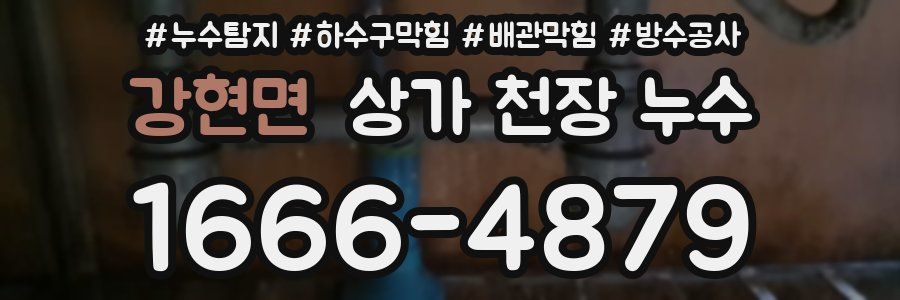 강현면 상가 천장 누수
