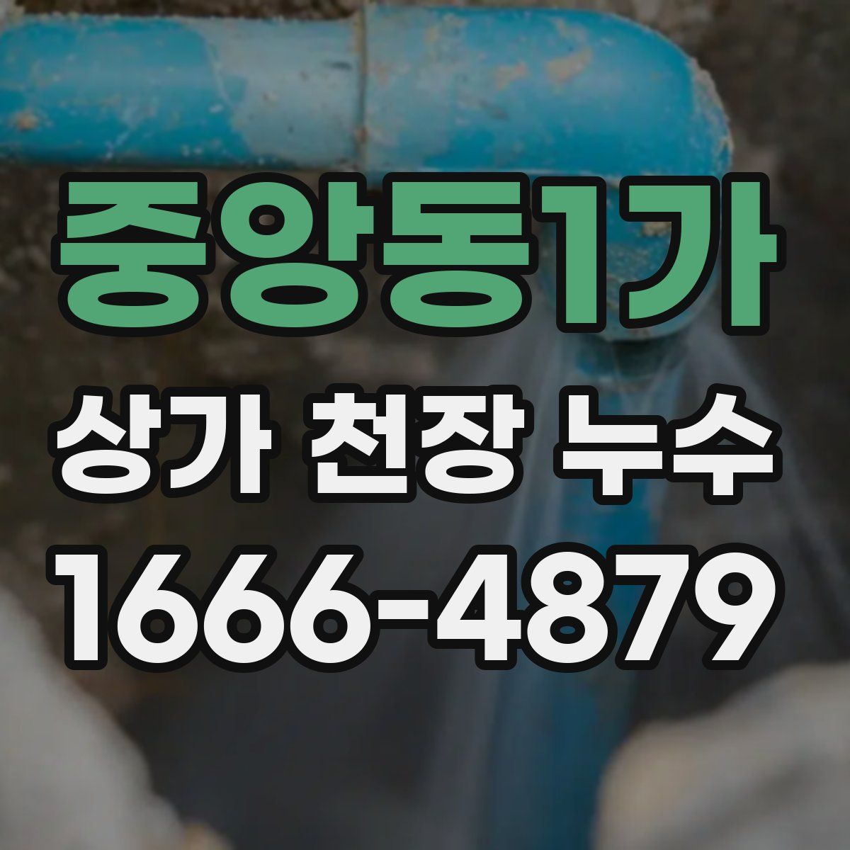 중앙동1가 상가 천장 누수