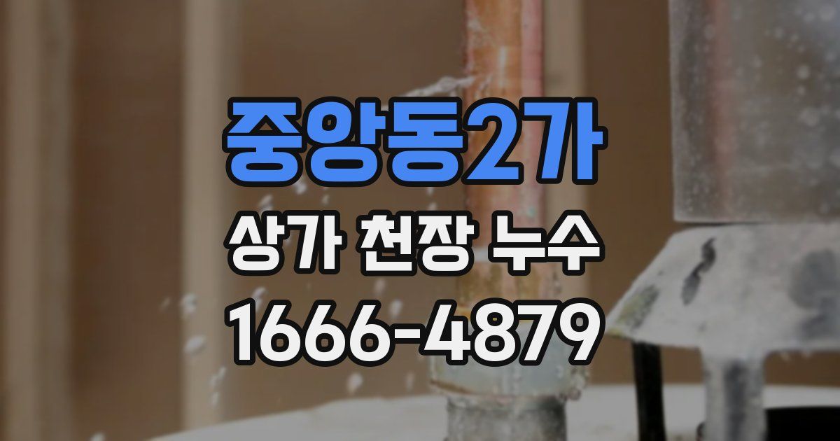 중앙동2가 상가 천장 누수