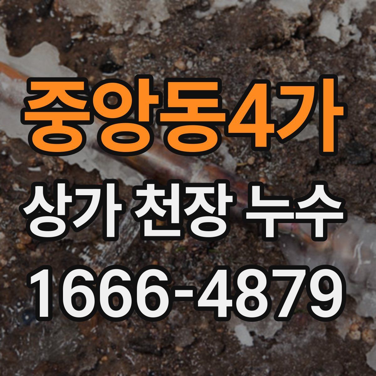 중앙동4가 상가 천장 누수