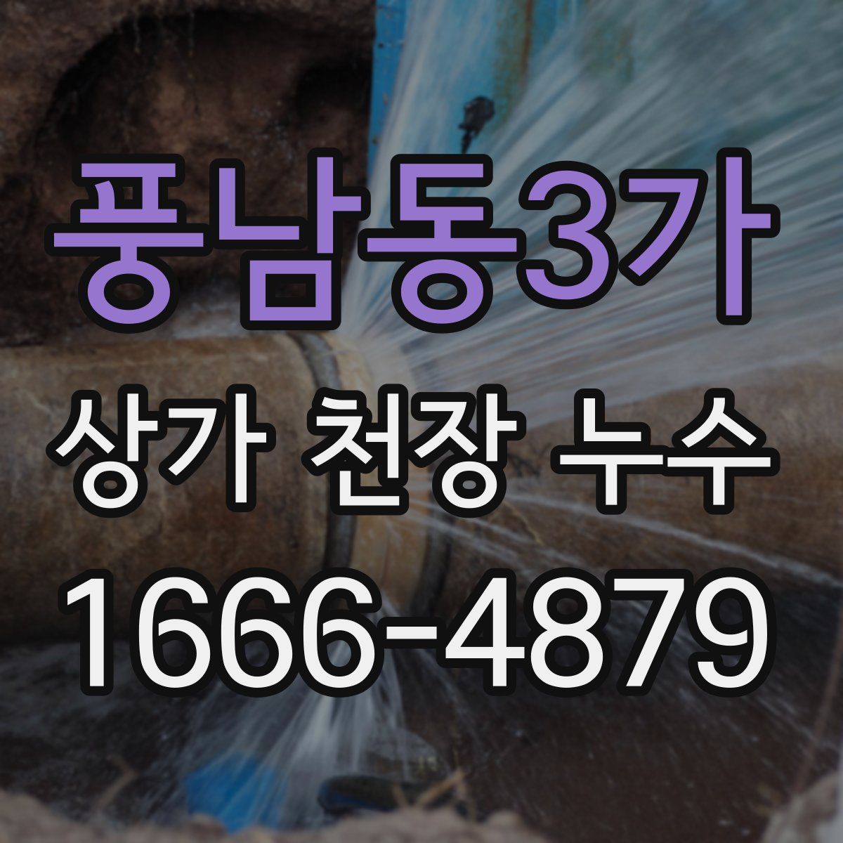 풍남동3가 상가 천장 누수