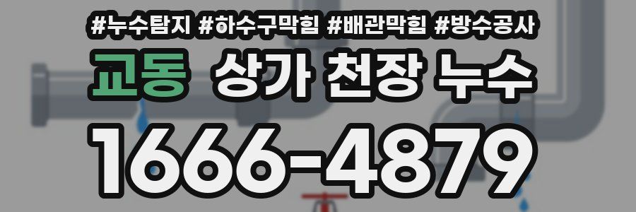 교동 상가 천장 누수