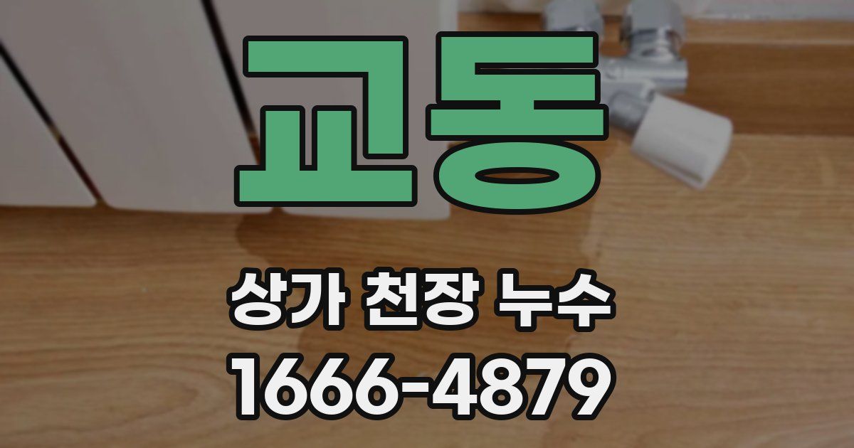 교동 상가 천장 누수
