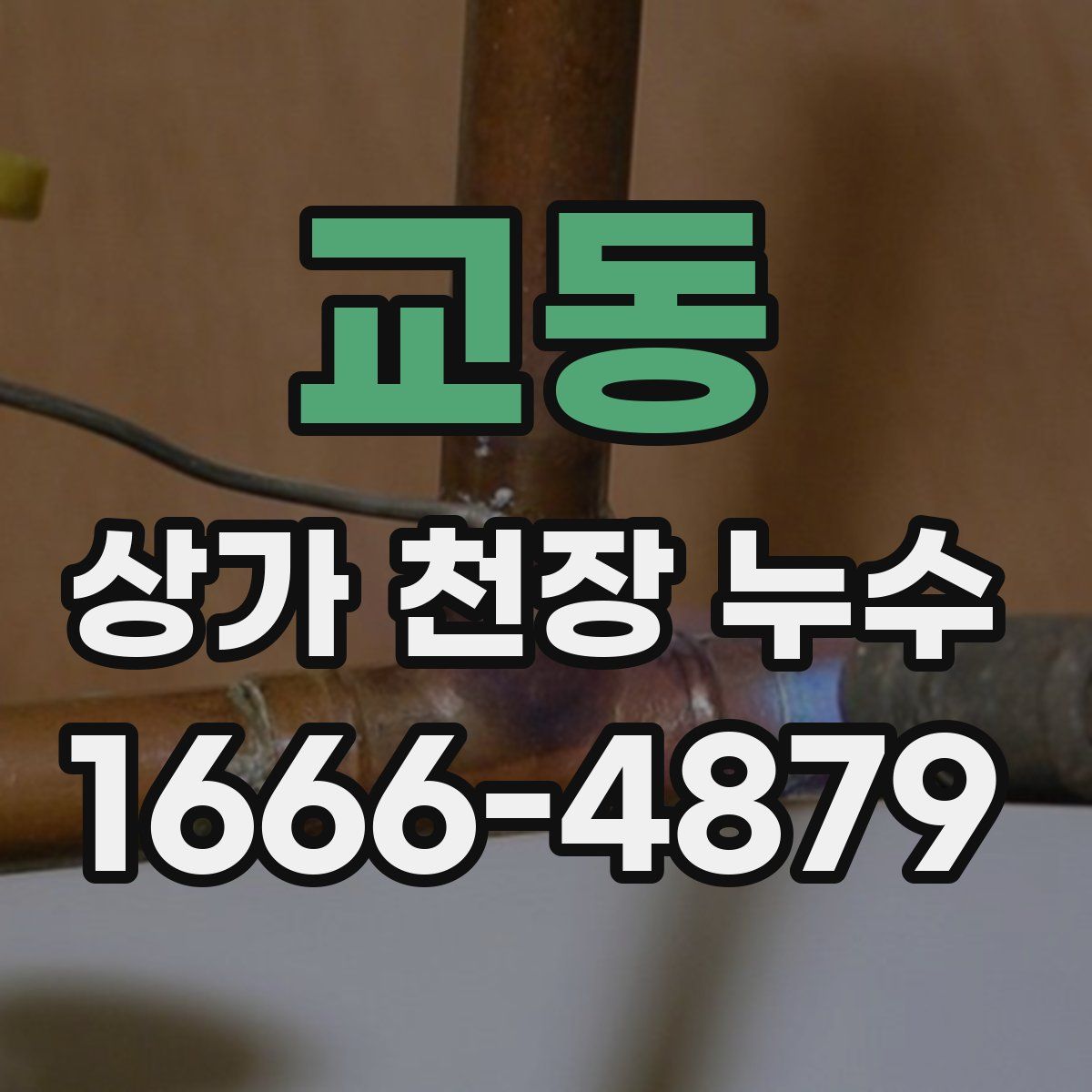 교동 상가 천장 누수