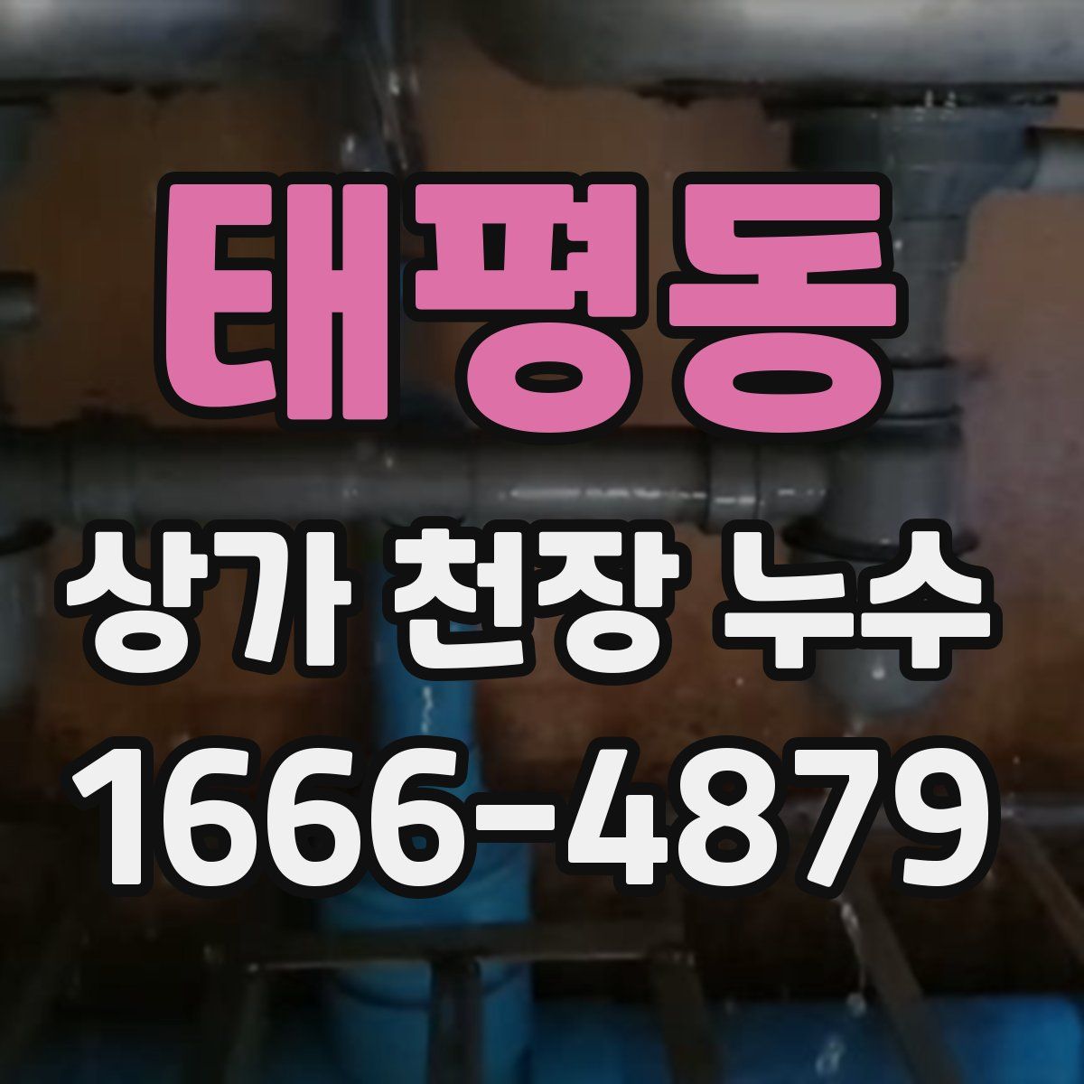 태평동 상가 천장 누수