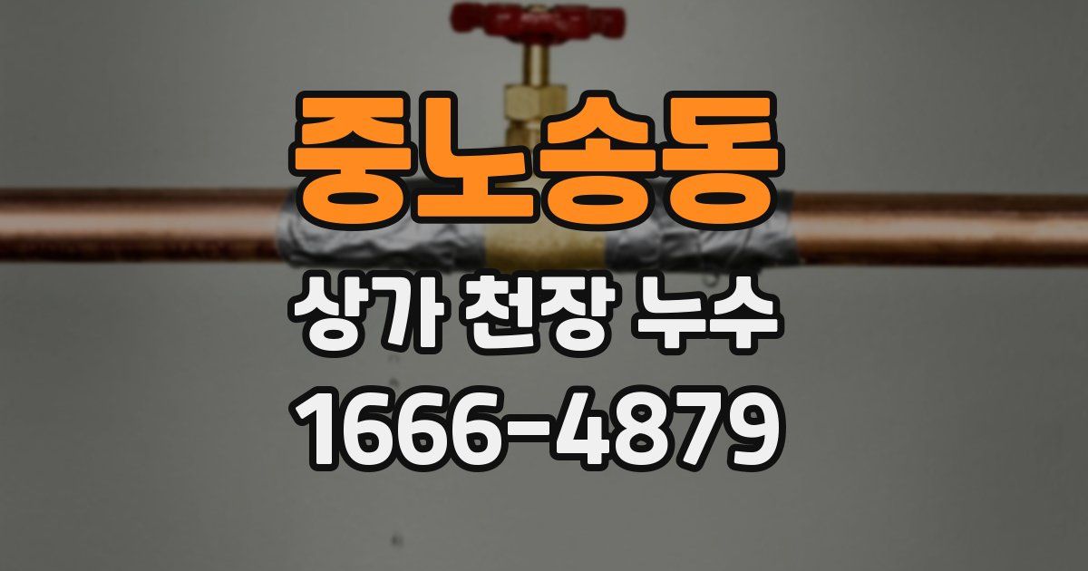 중노송동 상가 천장 누수