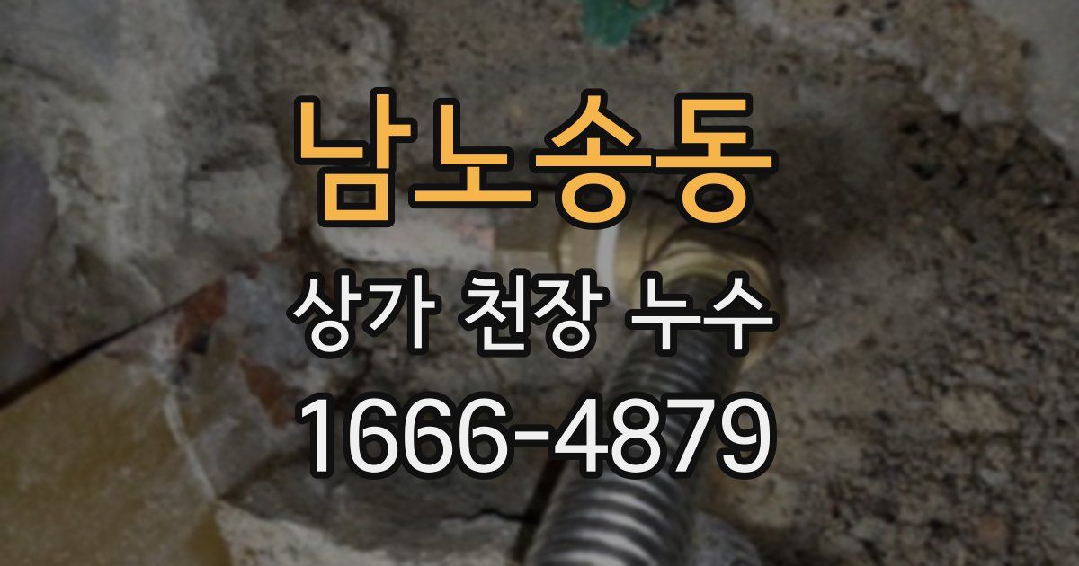 남노송동 상가 천장 누수
