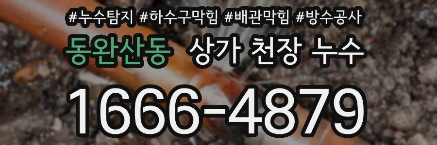 동완산동 상가 천장 누수