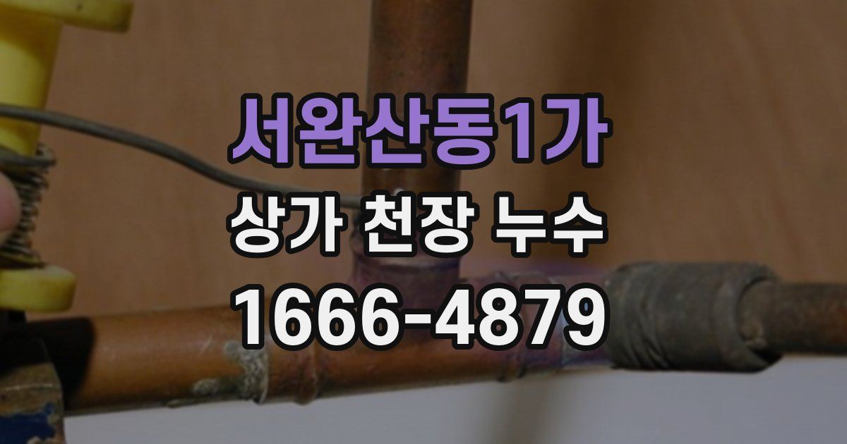 서완산동1가 상가 천장 누수