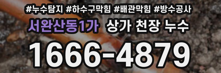 서완산동1가 상가 천장 누수