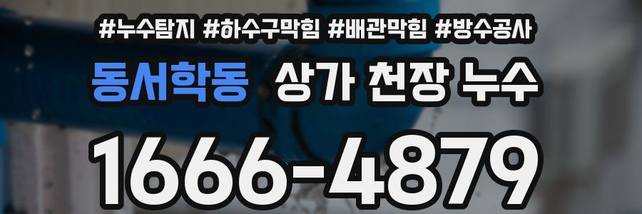 동서학동 상가 천장 누수
