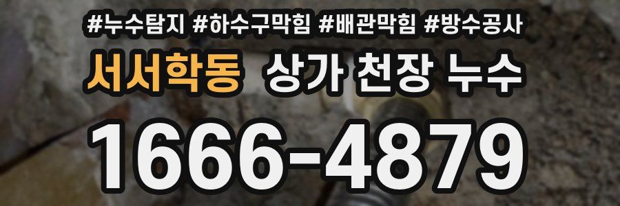 서서학동 상가 천장 누수