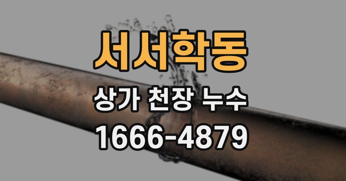 서서학동 상가 천장 누수