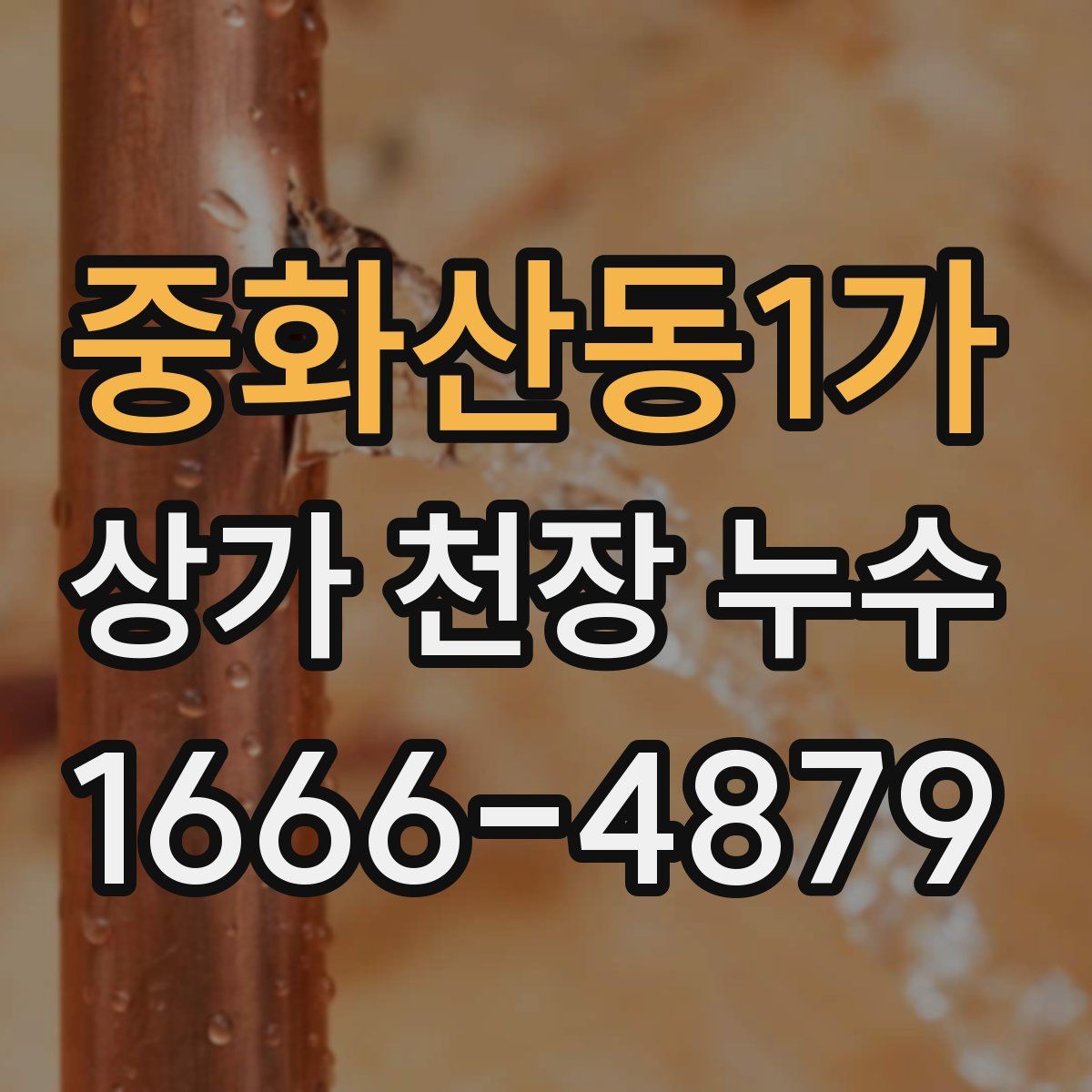 중화산동1가 상가 천장 누수