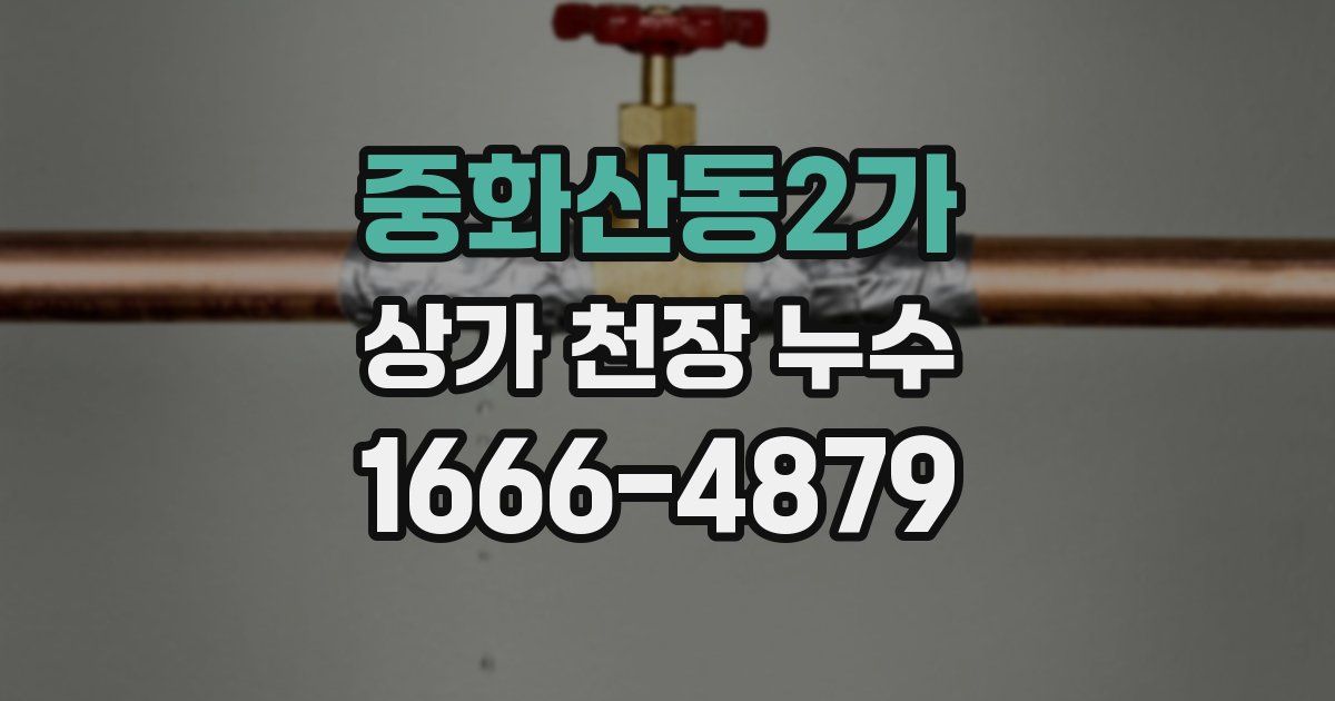 중화산동2가 상가 천장 누수