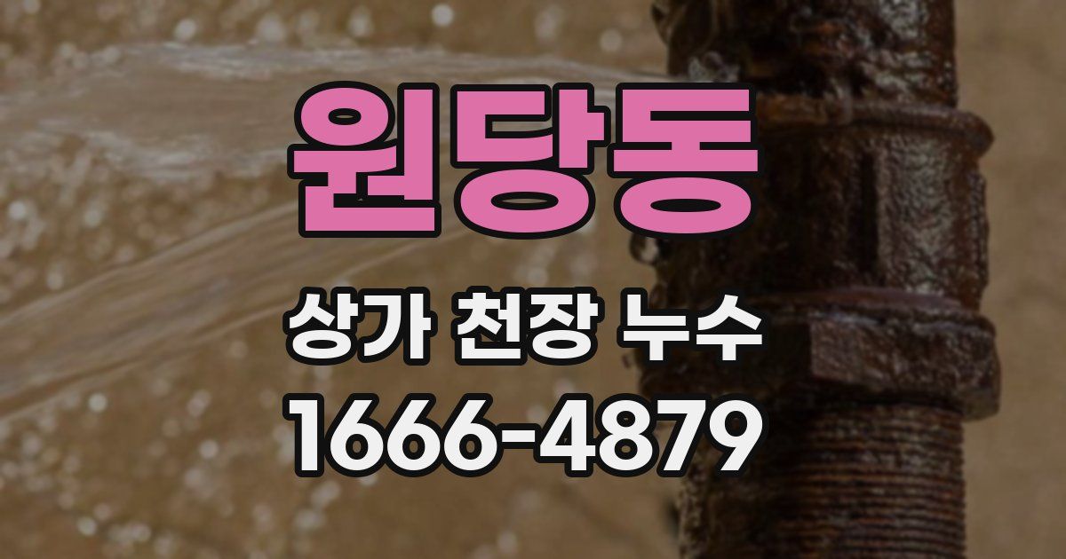 원당동 상가 천장 누수