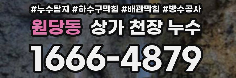 원당동 상가 천장 누수