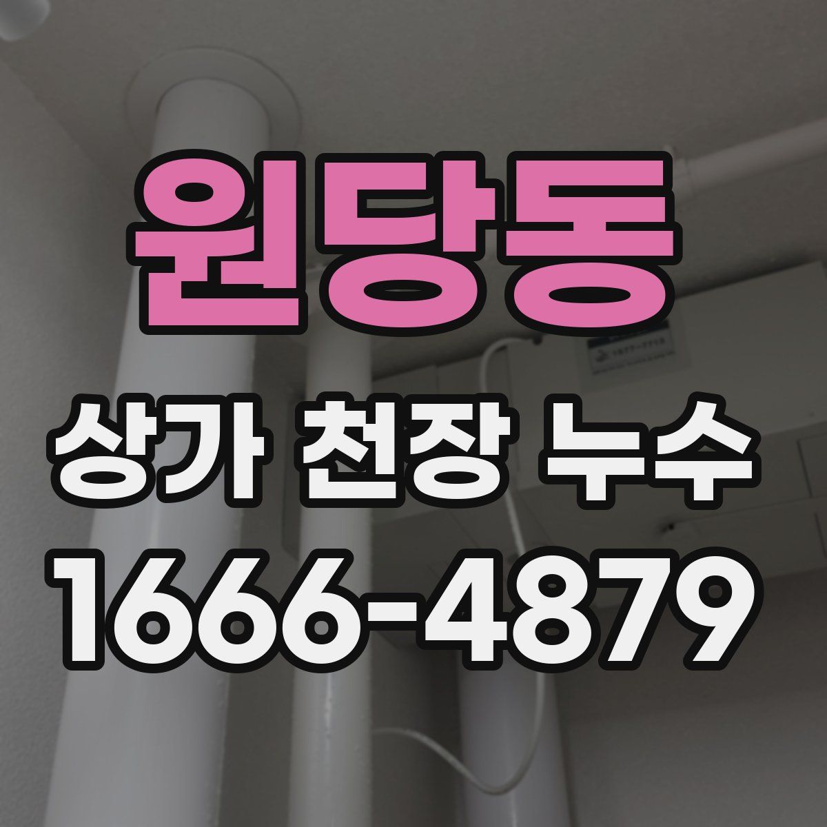 원당동 상가 천장 누수