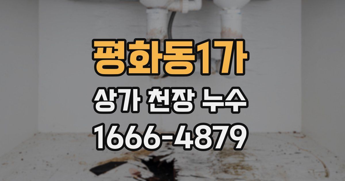 평화동1가 상가 천장 누수