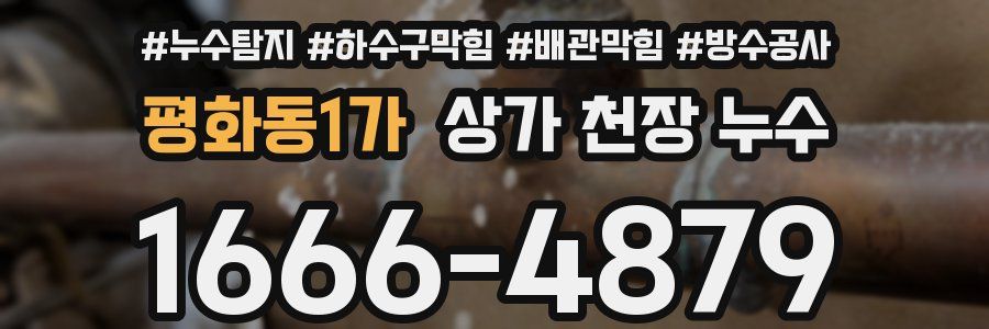평화동1가 상가 천장 누수