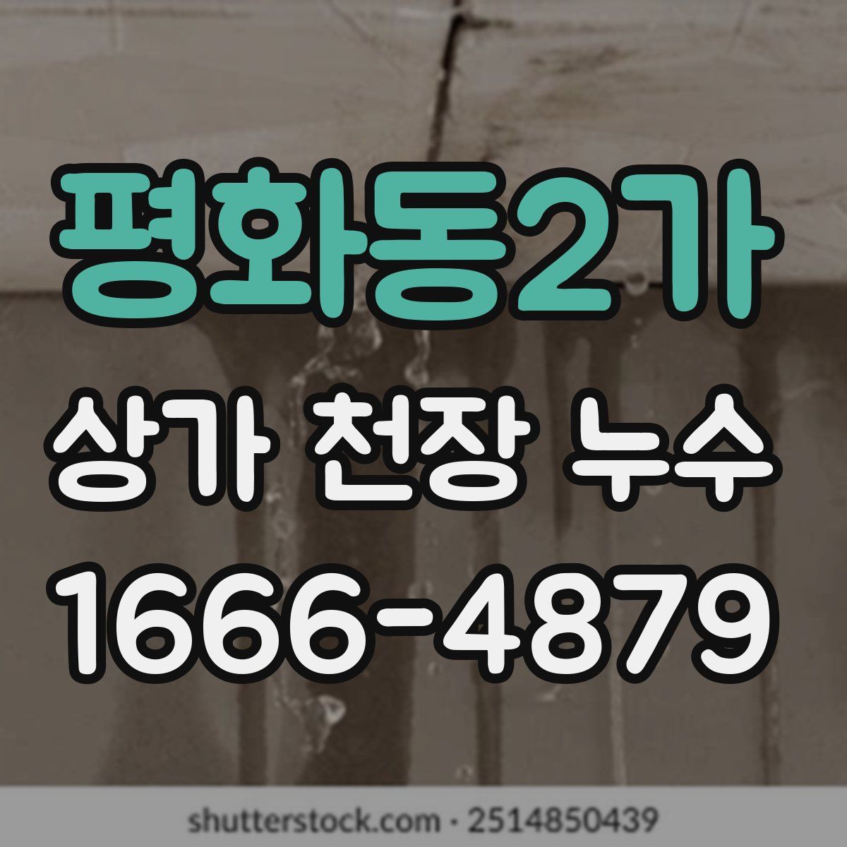 평화동2가 상가 천장 누수