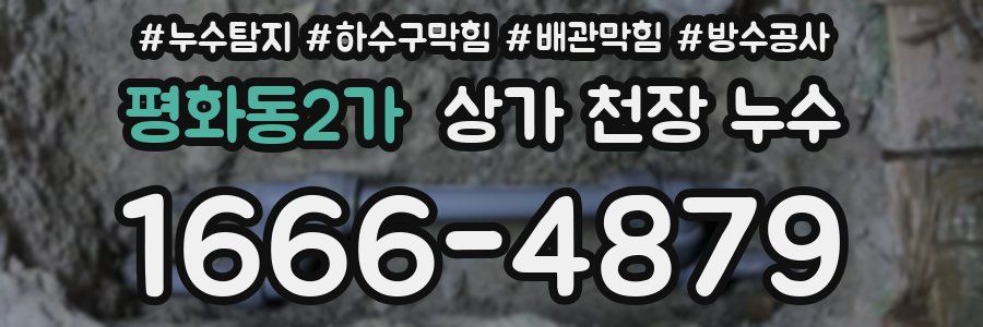 평화동2가 상가 천장 누수
