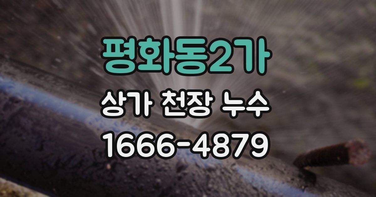 평화동2가 상가 천장 누수