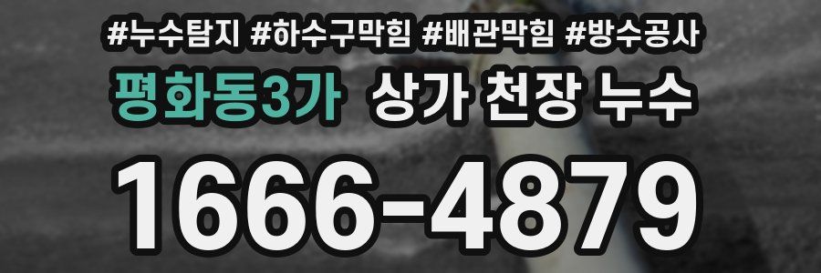 평화동3가 상가 천장 누수