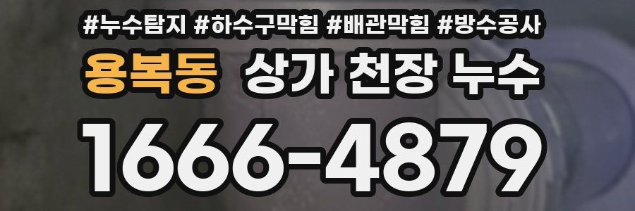용복동 상가 천장 누수