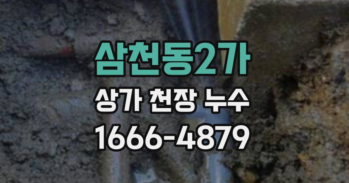 삼천동2가 상가 천장 누수
