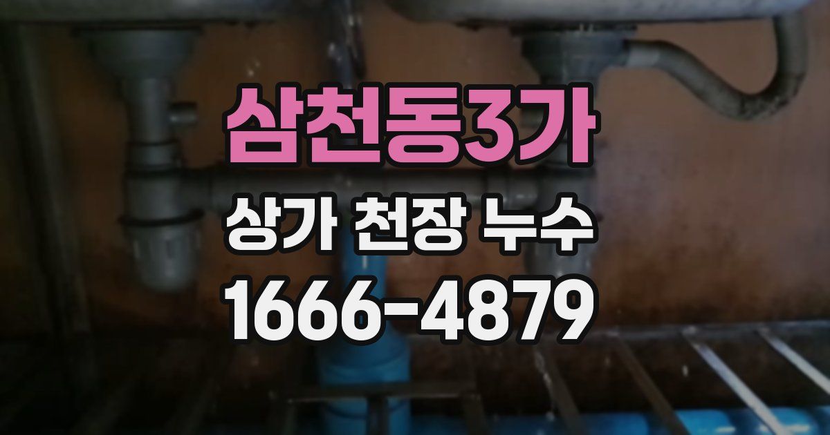 삼천동3가 상가 천장 누수